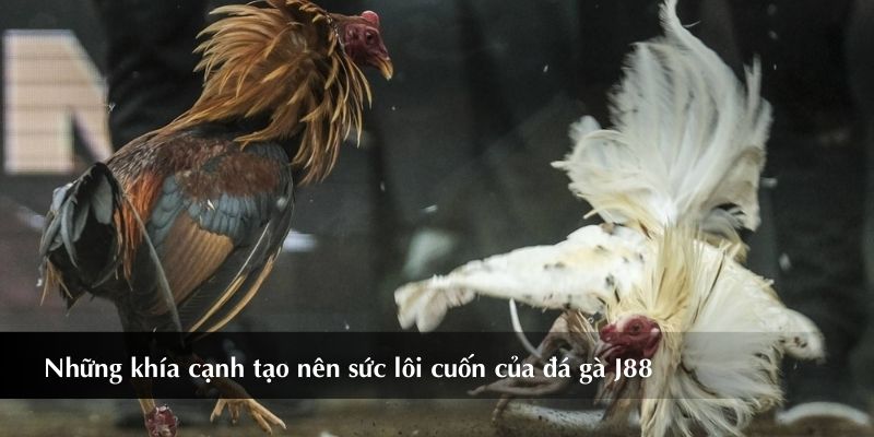 Những khía cạnh tạo nên sức lôi cuốn của sảnh chơi
