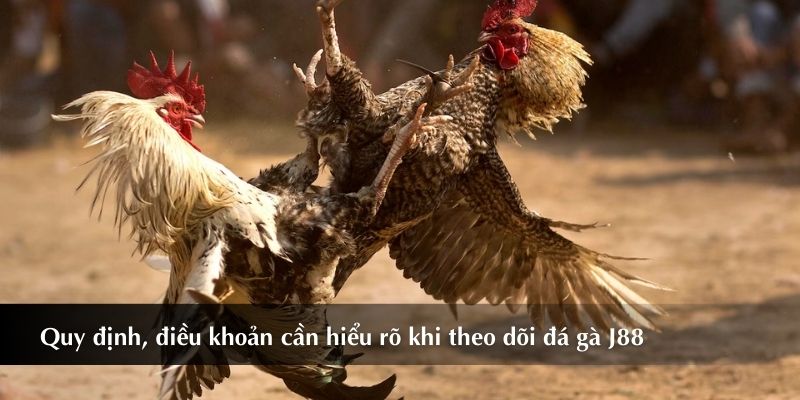 Những quy định, điều khoản cần nắm rõ